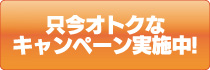 只今オトクなキャンペーン実施中!
